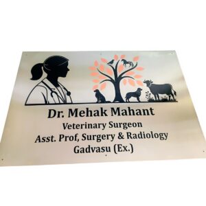 Stainless Steel Engraved Name Plate